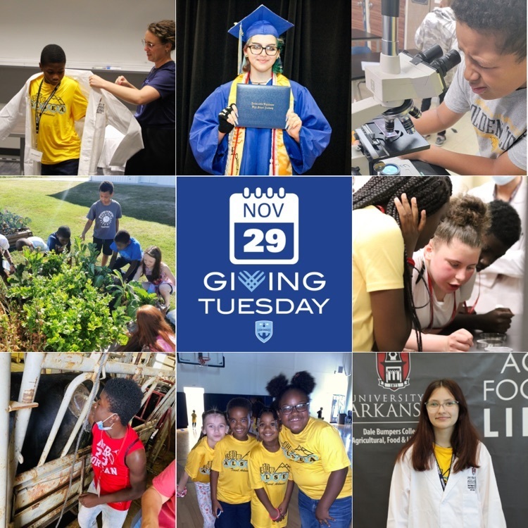 Giving Tuesday